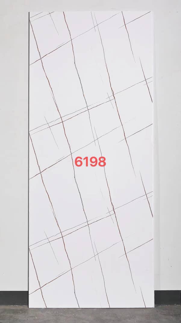 6198