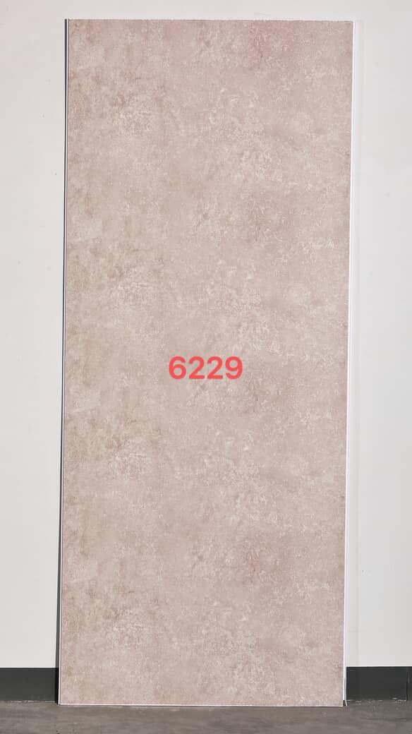 6229