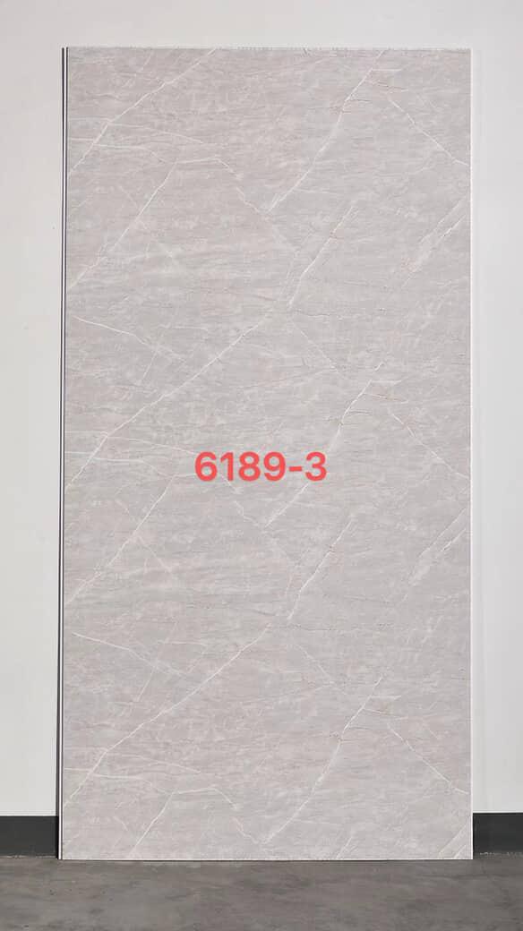 6189-3