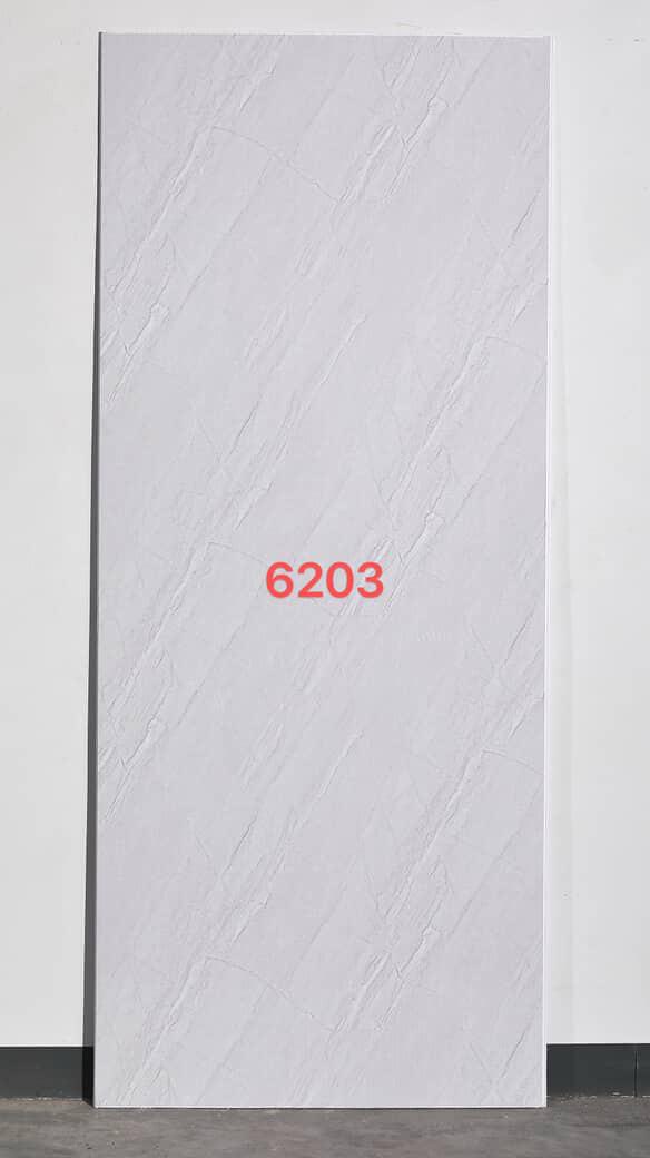 6203