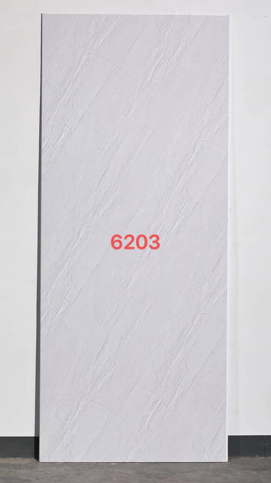 6203